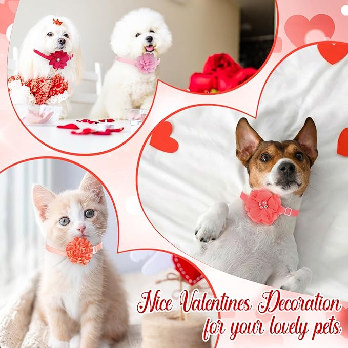 Reginary 100 Pcs Valentine's Day Dog Collar Flowers Bulk Flowers Pet Bows Floral Cat Accessory Adjustable Nylon Multicolor Pet Bowties Floral Collar for Small Pets(Romantic Color)