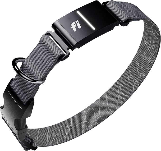 New Fi Series 3+ Smart Dog Tracker Collar [6 Month Membership Included] GPS Tracker for Dogs with Health & Behavior Monitoring, Escape Alerts, Waterproof, LED, Apple Watch Compatible (Gray, Large)