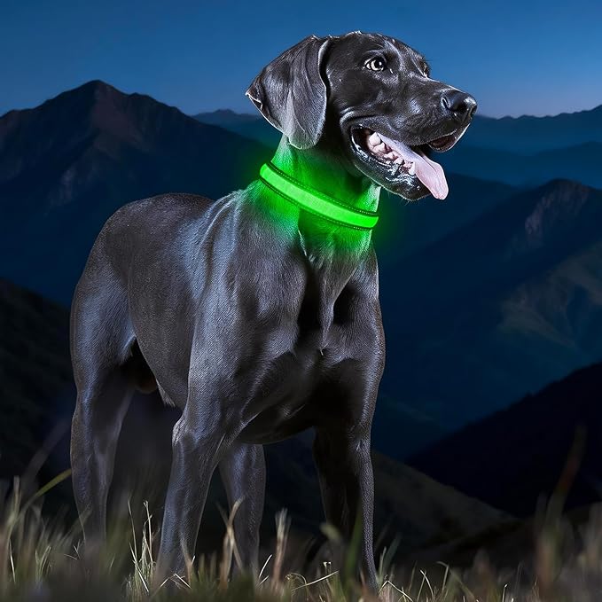 LED Dog Collar, Light Up Dog Collar Adjustable USB Rechargeable High Visibility Dog Light Glowing Pet Collars for Small Medium Large Dogs (Green, M)