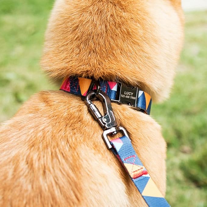 Nylon Dog Collar Leash Set Soft Personalized Dogs Collars Lead Padded with Safety Buckle for Small Medium Large Dogs Pet Pitbull Orange L