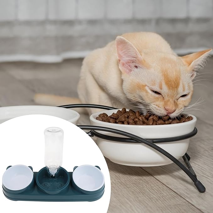 Tilted Double Bowl Pet Feeder with Automatic Waterer Elevated Design for Dogs Cats Daily Feeding Essentials Pet Feeding Bowl