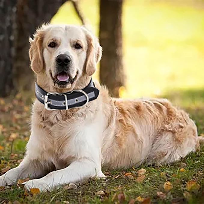 Campsis 2PCS Reflective Dog Collar Adjustable Metal Buckle Dog Collars Puppy Collar with Reflective Strip for Small Medium Large Dogs (L=11.8-14.9inch)