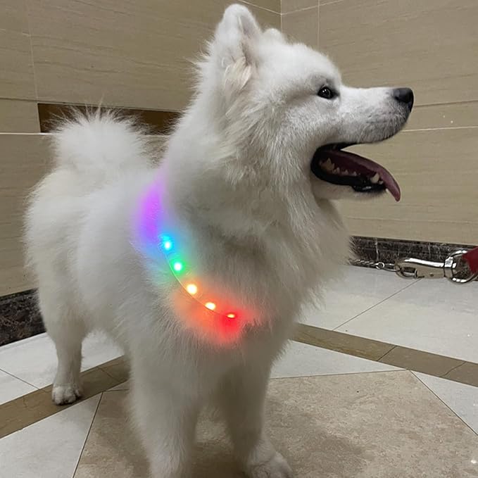 LED Dog Collar Adjustable USB Rechargeable Safety Glow in The Dark Large Dogs Collar