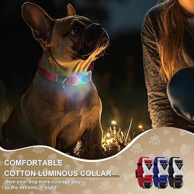 Small Light Up Dog Collar, Cotton Blue Dog Collar Girl Boy, Lighted Dog Collars for Night, IP67 Waterproof Lighted Dog Collars for Small Dogs with Buckle, D-Ring (9.8"-15.7" L, 3/4" W)