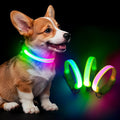 Light up Dog Collar - Multi-Color LED Dog Collar, USB-C Rechargable, Flashing Collar for Cats, Puppy Dogs and Small Breeds,Waterproof and Adjustable Rainbow Collar for Dogs(XSmall)