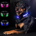Light Up Dog Collar-Rechargeable & Long-Lasting Power LED Dog Collar Lights for Night Walking, Waterproof & Safety Glowing Collars for Medium Dogs [Blue-M]