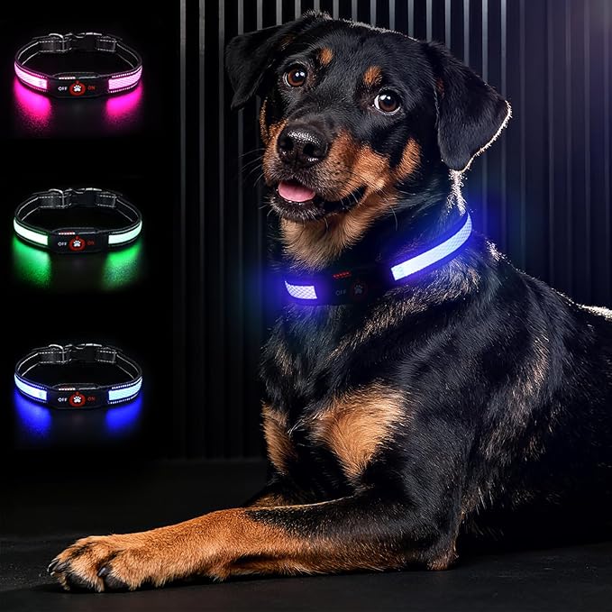Light Up Dog Collar-Rechargeable & Long-Lasting Power LED Dog Collar Lights for Night Walking, Waterproof & Safety Glowing Collars for Large Dogs [Blue-L]