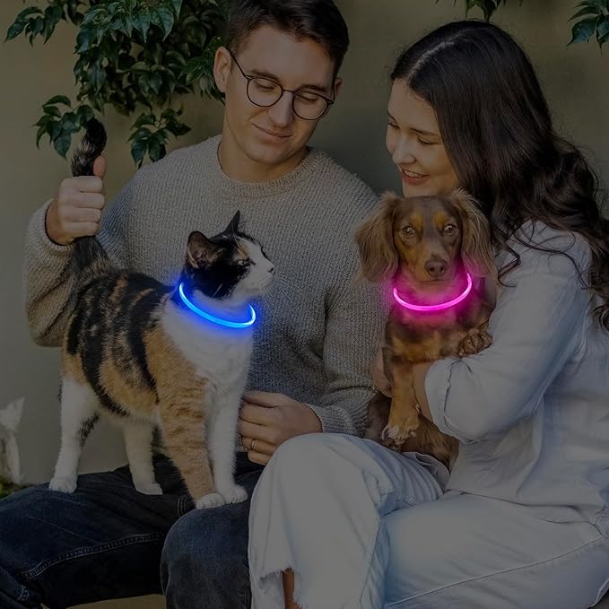 LED Dog Collar, Light Up Dog Collars USB Rechargeable for Night Walking-Fashion TPU Glowing Safety Pet Collar Lights for Small Dogs Cat (Blue)