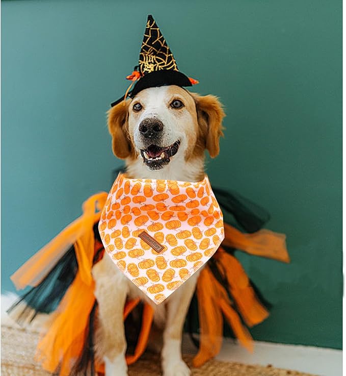 Lionheart Glory Fall Square Dog Scarf - Adjustable, Washable Soft Bandana for Medium Large Dogs (Halloween Pumpkin Theme, 1 Pack)