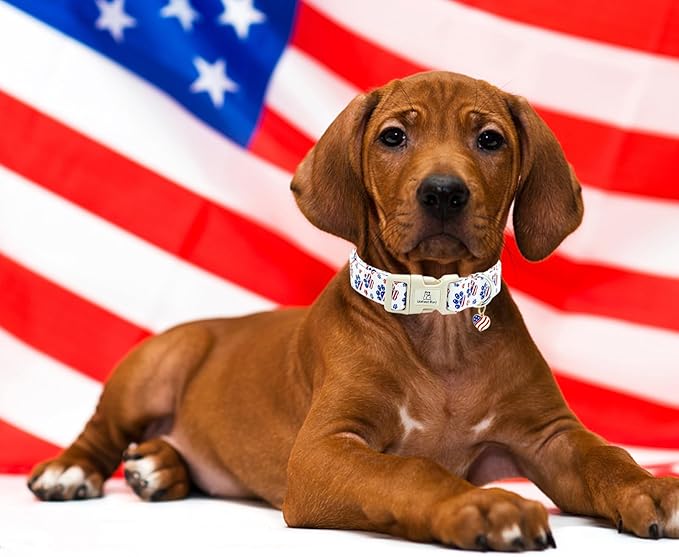Lionheart glory American Flag Dog Collar, 4 of July Patriotic Independence Day Dog Collar Heavy Duty Adjustable Dog Collars for Medium Dogs Pet Gift Summer Collars Dog Cute Collars