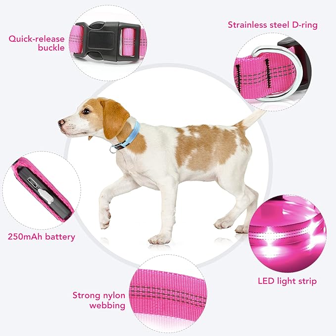 Weesiber Light Up Dog Collars - Rechargeable LED Collar - Reflective Adjustable Dog Lights for Night Walking (Pink, Small)