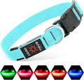 Illumifun LED Dog Collar - USB Rechargeable Dog Light Up Collar, Reflective Pet Collar Light Glow in The Dark (BlueⅢ, Medium)
