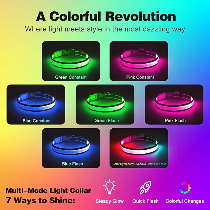 Light Up Dog Collar, Multicolor LED Dog Collar with 7 Lighting Modes - USB-C Rechargeable, Real-Time Battery Indicator, Waterproof & Adjustable Glow Collar for Safe Night Walks (S)