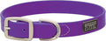 Terrain D.O.G. Brahma Webb Dog Collar