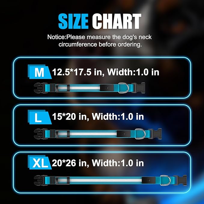 LED Dog Collar Rechargeable- Brightest Light Up Dog Collars - 1,600 Feet of High Visibility - Magnetic Charging - Glow in Dark Dog Lights for Night Walking, Blue M