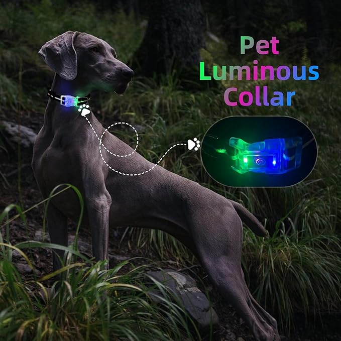 Light Up Dog Collar, USB Rechargeable Flashing LED Dog Collar, Adjustable Comfortable Glow in The Dark Puppy Collars, Safe Dog Collar Light for Medium Large Dogs(L Size)