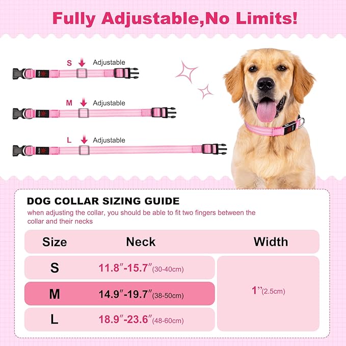 Illumifun Lighted Dog Collars for Night, USB Rechargeable Light Up Dog Collar, Water-Resistant LED Dog Collar Glow in The Dark (Pink, Medium)
