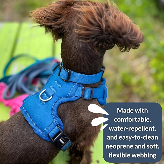 DJANGO Tahoe No Pull Dog Harness – Escape-Proof Dog Harness for Small Dogs with Front & Back Clips for Everyday Use – Adjustable, Padded, Reflective, Secure Fit, Easy On/Off – Alpine Blue, Small