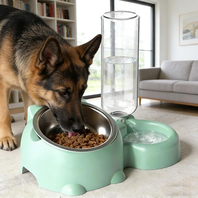 Cat Food and Water Bowl Set, Automatic Dog Dish Bowl with Water Dispenser, Removable Drinking and Eating Bowls, No-Spill Pet Feeder for Puppy, Medium Dogs & Cats (Green)