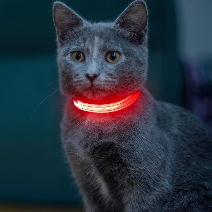Light up Dog Collar for Small Dog,Vizpet XS Adjustable Size Nylon Collar USB Rechargeable Bright Safety Pet Collar for Cats Dogs (Red，XS)