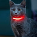 Light up Dog Collar for Small Dog,Vizpet XS Adjustable Size Nylon Collar USB Rechargeable Bright Safety Pet Collar for Cats Dogs (Red，XS)