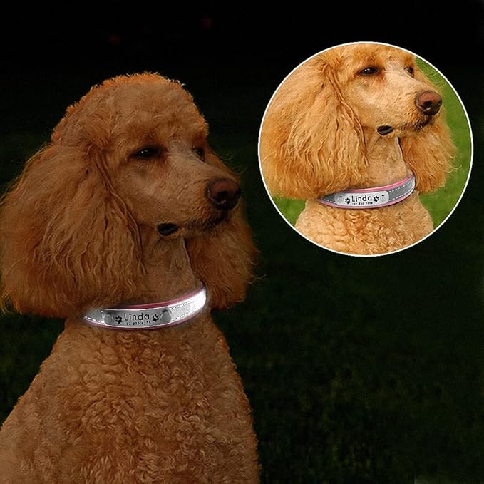Reflective Dog Collar Personalized Pet Dog Collars Leather Padded Dogs Collar for Small Medium Dogs Chihuahua Yorkie Pink M