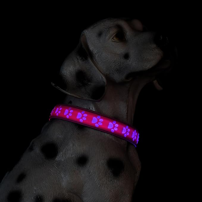 Subversive USB-C led Light up Dog Collar, Subversive 3D Cross Design Comfortable and Soft Material,Multicolored Lighting (PAW-Pink, M(15.7-19.7"))