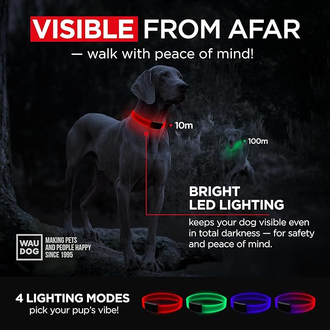 Light Up Dog Collar Waterproof LED Collar for Safety Night Walking USB Rechargeable Glow in The Dark for Small Medium and Large Dog