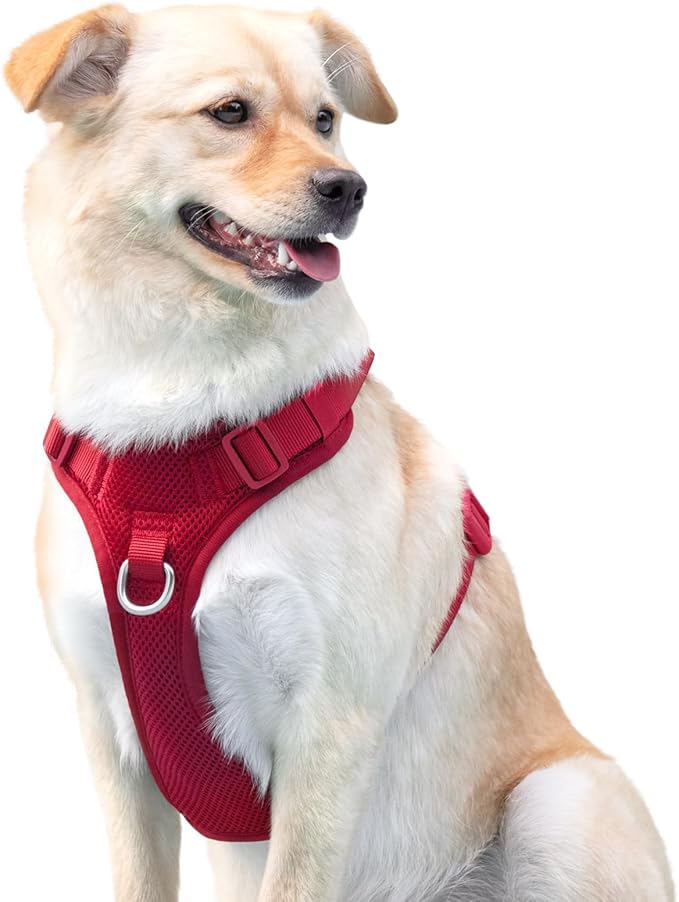 No Pull Dog Harness for Small Medium Large Dogs - Adjustable 2 Layer Mesh Dog Vest with Dual Clip, Escape Proof, Quick Release, Lightweight Breathable Mesh for Walking Hiking (Burgundy Red,XS)