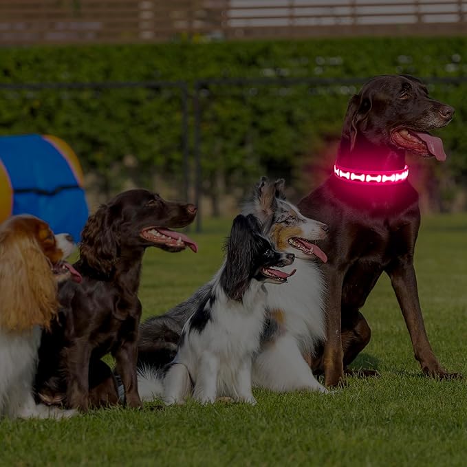 LED Dog Collar with Battery Display, Adjustable Light Up Dog Collars Rechargeable, Glowing in The Dark Reflective Light Collar Super Bright Safety Dog Light for Medium Large Small Pets (Pink, L)