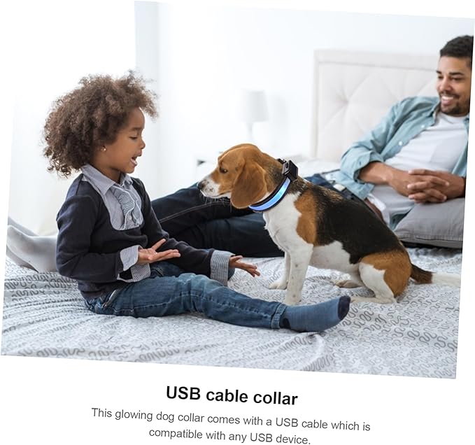 VOSAREA Glowing Dog Collar Bright Modes Rechargeable Led Collar for Pets Puppy Easy Release Buckle