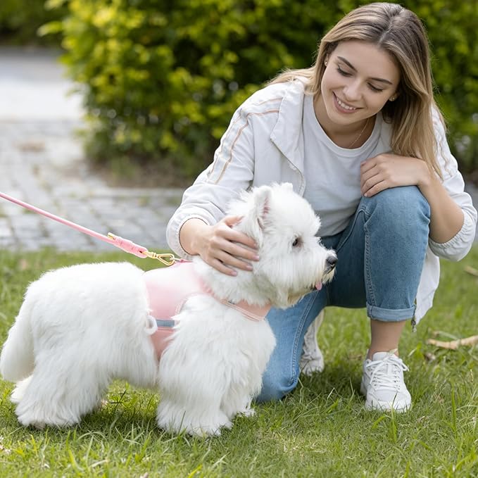 Durable Handwoven Dog Leash for Small & Medium Dogs, 5/16 inch Rope Lead with Anti-Tangle Swivel Clip, Soft & Lightweight, 5FT Long – Ideal for Daily Walking & Training (Light Pink)