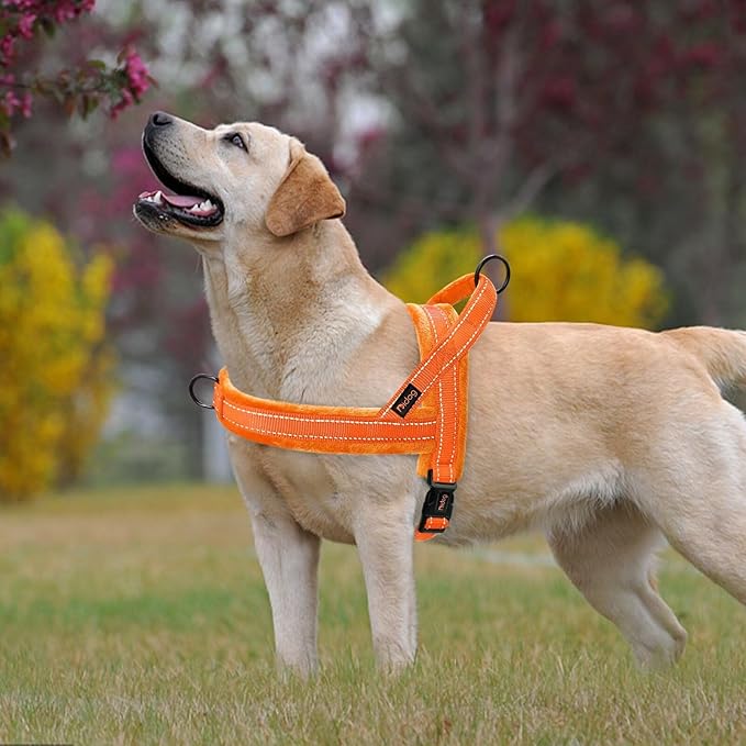Didog Soft Flannel Padded Dog Vest Harness, No Pull/Quick Fit Reflective Dog Strap Harness, Easy for Training Walking (M:Chest 21-26", Orange)