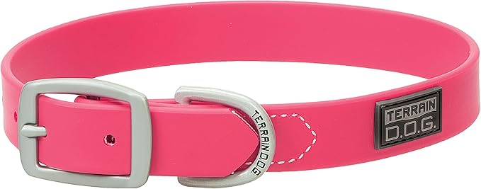 Terrain D.O.G. Brahma Webb Dog Collar