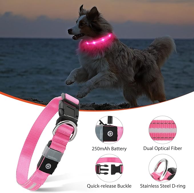 MASBRILL Rechargeable LED Dog Collar - Water-Resistant, Light Up, Flashing, Glowing for Night Safety - Adjustable Illuminated (S, Pink)