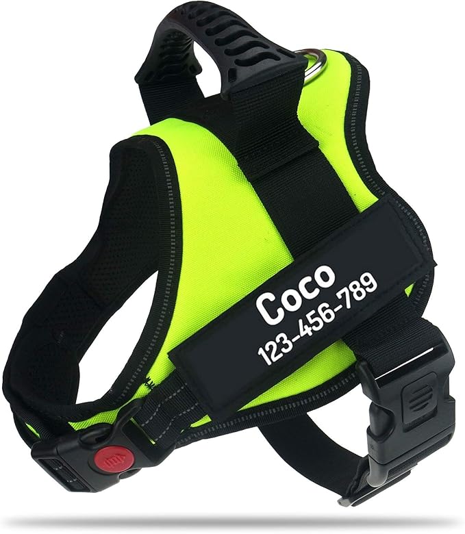 Personalized No Pull Dog Harness with Custom Name and Phone Number by PawPawify, Heavy Duty Pet Vest to Prevent Tugging, Pulling, or Choking, Training and Walking XXL Chest 33-46in