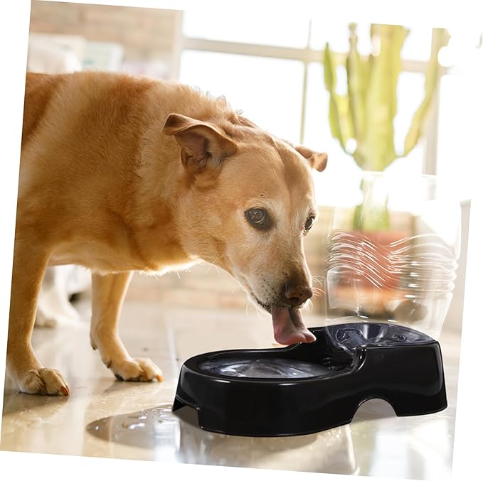 VICASKY Automatic PET Water Dispenser Fountain for Cats and Dogs 900ml Healthy Waterer Replacement Filters Dog Water Bottle Feeder for Small Pets Random Color