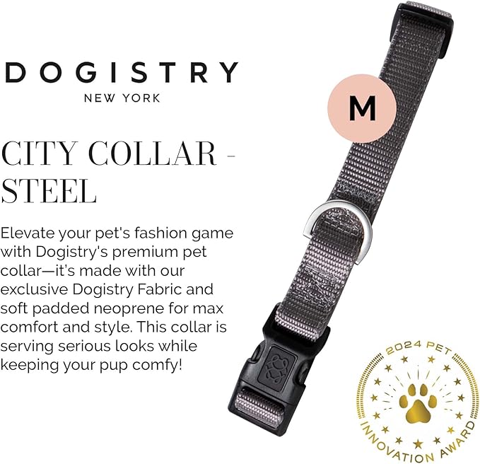 The DOGISTRY - City Collar - Steel - Premium Dog Collar with Padded Neoprene & Signature Fabric - Refined Design & Everyday Luxury - Medium
