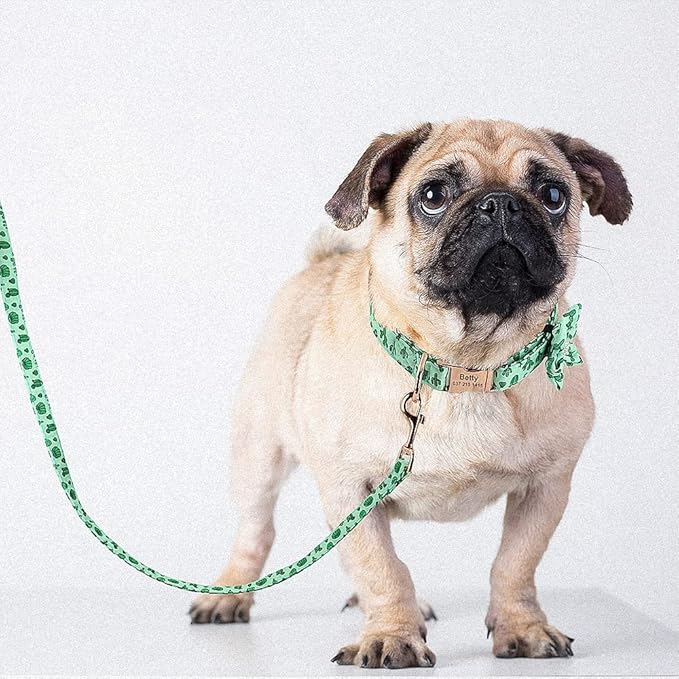 Rhinestone Personalized Dog Collar Leash Set Flower Printed Customized Pet Collar Puppy ID Collar for Small Medium Large Dogs Green Collar Leash S