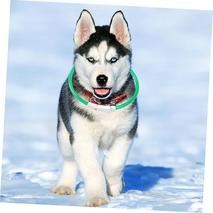 Milisten USB Rechargeable Luminous Dog Collar Flashing Led Light for Night Safety Pet Supply Lightweight Durable with Unique Design for Eye-catching Style