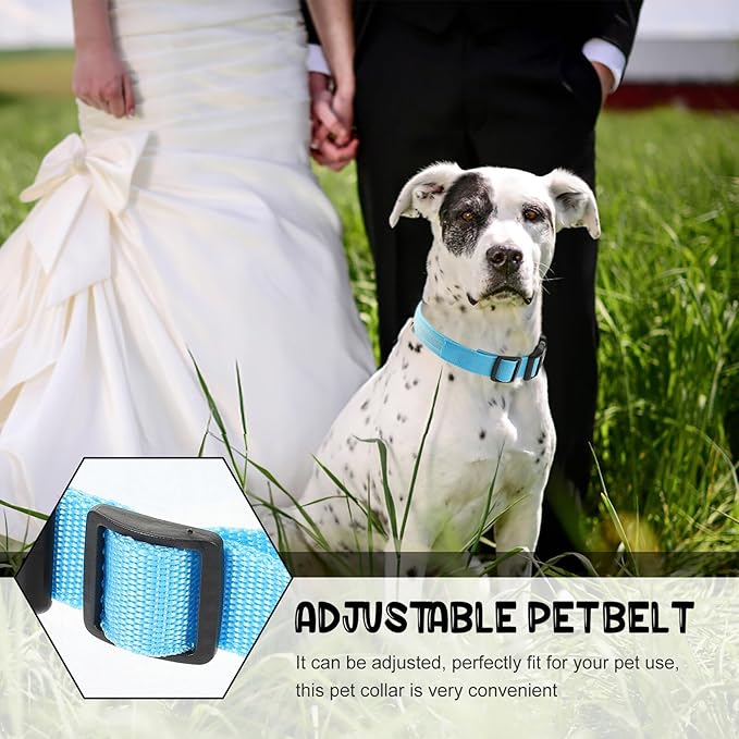 Adjustable Rechargeable Light up Dog Collar M Size Blue Glow LED Night Safety Luminous Pet Collar for Puppy and Dog Walking