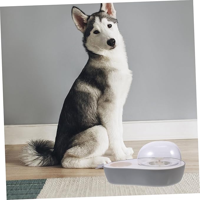 Automatic Pet Water Dispenser Cat Dog Bowl Pet Supply Travel Water Bowl for Dogs