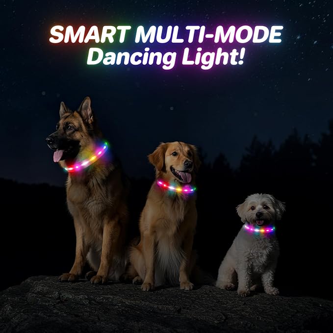 RUXAN Light Up Dog Collar,Dog Lights for Night Walking,LED Collars Waterproof,Glow Dog Collars Rechargeable,Glow in The Dark Dog Collar,Dog Collars Light for Small,Medium,Large Dogs (Small,Pink)