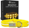 Blazin Light Up Dog Collar - The Original LED Dog Collar - USB Rechargeable - Waterproof - 1,000 Feet of Visibility - Dog Collar Light for Small, Medium, Large Dogs - USA Brand
