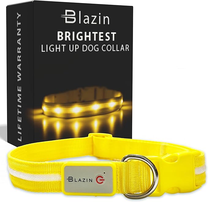 Blazin Light Up Dog Collar - The Original LED Dog Collar - USB Rechargeable - Waterproof - 1,000 Feet of Visibility - Dog Collar Light for Small, Medium, Large Dogs - USA Brand