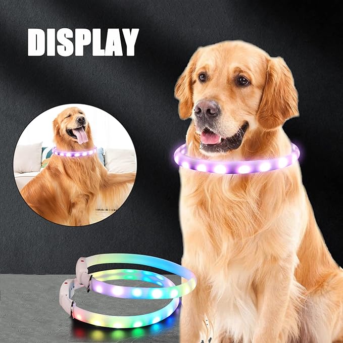 Dog Led Collar USB Rechargeable, Multicolored Lighted Dog Collar Band Flashing, Dog Collar Lights Up Night Walking for Small Medium Large Dog