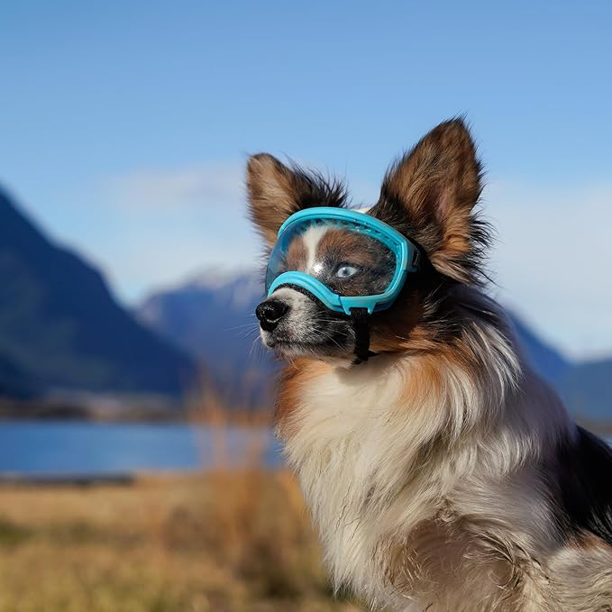 Rex Specs V2 Dog Goggles (Extra Small, Big Horn Blue)