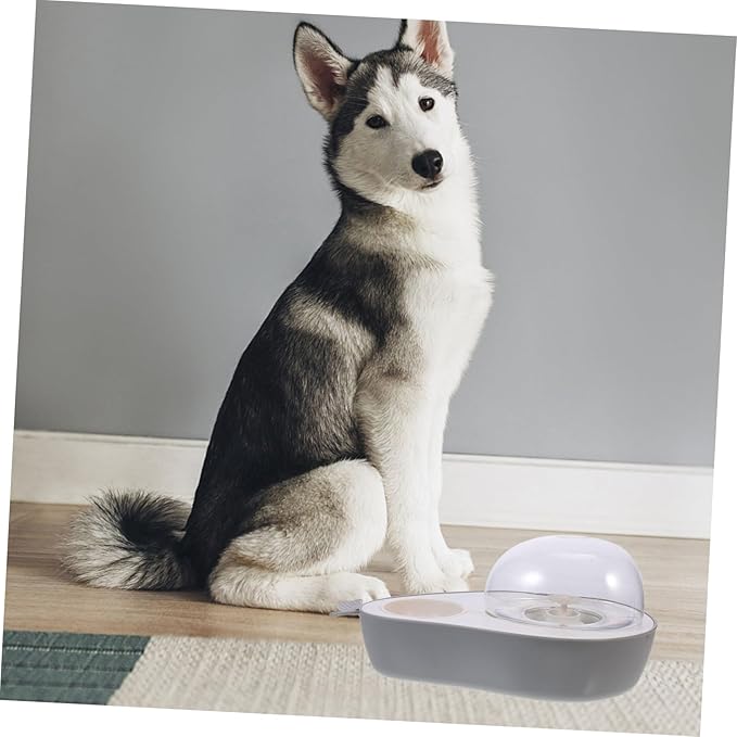 BESPORTBLE Portable Cat Water Bowl Dispenser Auto Dog Water Dispenser Lightweight Pet Supply Travel Bowl