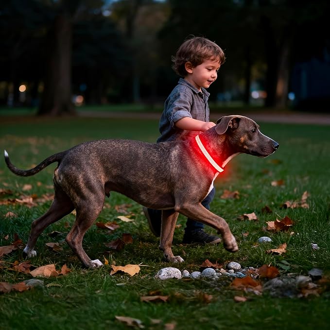 Multicolor Light Up Dog Collar, 5V Waterproof Led Dog Collar Rechargeable, 200 mAh Adjustable Glow in The Dark Dog Collars with 11 Light Modes for Small, Medium, Large Dogs Walk for Night (Small)