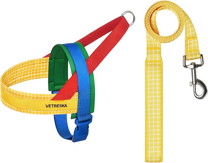 VETRESKA MoMA Dog Harness and Leash Set, Easy Walk Dog Harness for Small Medium Dogs, No Pull Puppy Harness for Walking and Training, Adjustable, Take Control & Anti-Twist Pet Lead Combo(Yellow, XS)